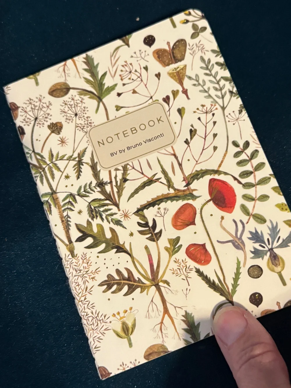 BV By Bruno Visconti Gift Set of Stationery in Greens & Flowers -Pen, 2 Journals